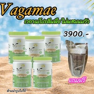 เข้าร่วมโปรแกรมส่งฟรี VEGAMAE ️โปรตีนถั่วลันเตาสีทอง ตรา เวกาเม่ (แบบ 5 กระปุก) โปรตีนสูง อร่อย