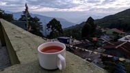 K2view Retreat