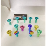 (2-storey Titanium Star) Screws 8li20 8li25 Salaza Model Star 2-storey Titanium Gr5 high quality