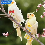 【FY】  Cute Birds Flight Suit Parrot Diaper Flight Suit Pet Clothes Parakeet Pigeon Medium Large Pet 