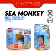 [Daiso] Children's Toys Raising Sea Shrimp / Sea Monkey Type 2