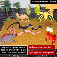 Diorama package model animal desert animal desert model desert bioma desert