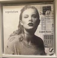 [現貨] Taylor Swift - Reputation Picture Disc Vinyl 2LP