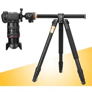 Beike Q999H Tripod. Easy to Move and Compact | HPLightStudio