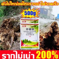 🍂กำจัดรากเน่าได้ถาวร🍂ยากำจัดต้นไม้ 500g สูตรเข้มข้น ยาฆ่าต้นไม้ ต้นไม้ใหญ่แค่ไหนรากเน่าได้รวดเร็ว ยาฆ่าตอไม้ 1ถุงฆ่าต้นไม้1000ต้นตาย ยากำจัดต้นไม้ใหญ่ รากเน่าอัตโนมัติไม่ใช้แรงคน สารกำจัดต้นไม้ ไม่เป็นอันตรายต่อดิน สารกำจัดกอไผ่ ยาฆ่าไผ่