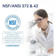 Stokk EDR1RXD1 Replacement Compatible with Everydrop Filter 1, EDR1RXD1B, Whirlpool W10295370A, P8RF