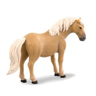 Terra SHETLAND PONY-AN2652Z