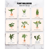 Walldecor Hiasan Dinding / Poster Hiasan Dinding Tanaman20 X 20 cm