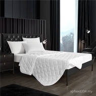 Anti-slip Simmons Hotel Hotel Protective Mat Washable Double Bed B & B Thin Mat Dormitory Mattress M