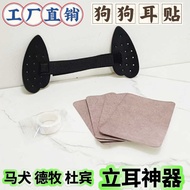 Dog Ear Stick Ear Stick Ear Stand Ma Dog Device Ear Shape Correction