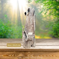 Trầm cảnh để bàn phong thuỷ gỗ trầm hương tự nhiên chưng văn phòng nhà ở mang lại tài lộc may mắn