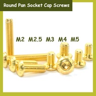 Round Pan Socket Cap Screws Gold Titanium Plated Hex Head Allen Bolt