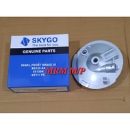 SKYGO WIZARD 125 / SG125 FRONT HUB PANEL