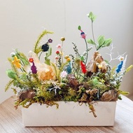 皮克敏粉們 一起來打水晶菇囉 × 黃白水晶微景觀