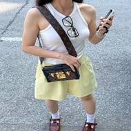 LV Petite Malle 老花硬盒子