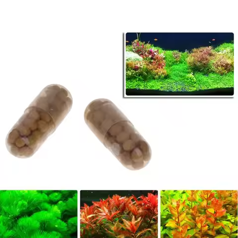 40pcs Aquarium Plant Seeds Soil Fish Tank Accessories Decoration Aquatic Float Water Grass Clay Cup 