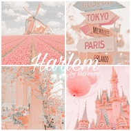 Lightroom Presets | Harlem