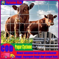 Pagar Lembu Cyclone Fence Pagar Kambing Pagar Kebun 50meter Galvanised Five Star Fence Malaysia