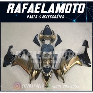 Kawasaki ZX-10R Full Coverset Year 2008-2010 Fairing 5