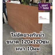 ไม้อัดยางกันน้ำ ขนาด 120x120ซม หนา 10มม - ไม้อัด อัดยาง ไม้อัดกันน้ำ กันชื้น อัดยางกันน้ำ ไม้อัดยาง