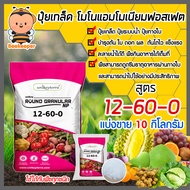 ปุ๋ยเกล็ด สูตร 12-60-0 แบ่งขาย บรรจุ 10 กิโลกรัม ละลายน้ำดี ไม่อุดตันหัวฉีด แบบละลายน้ำ พืชได้รับสาร