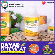 Qnc Jelly Gamat Obat Herbal Untuk Diabetes Asam Urat Hepatitis Asam lambung Asma Kolesterol Tinggi J