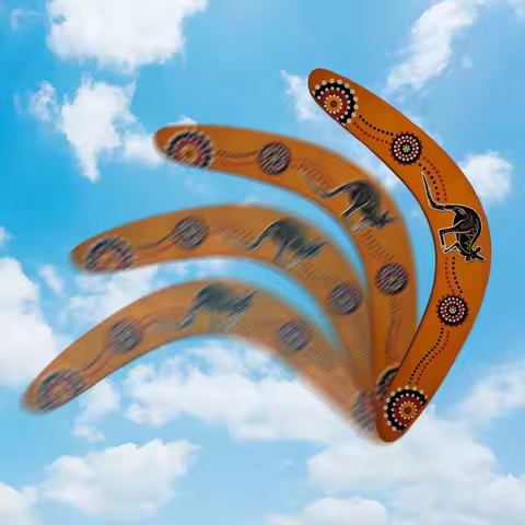 Fun Kangaroo Throwback V Shaped Boomerang Flying Disc Throw Catch Outdoor Game Parent-child Interact
