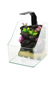 aquarium mini paludarium