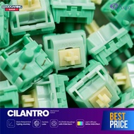 Akko Cilantro Switch Early Tactile - Mechanical Switch Keyboard