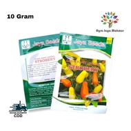 BENIH BIBIT CABAI STROBERRY JAYA SEED 10GRAM/BENIH BIBIT CABAI CABE RAWIT UNGGUL/