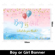 MINIIS Gender Reveal Boy Or Girl Gender Reveal Decoration Balloon Spray Confetti Powder Party Props