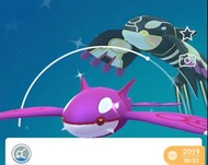 Pokemon GO／Home／Switch系列 閃光精靈 - 蓋歐卡