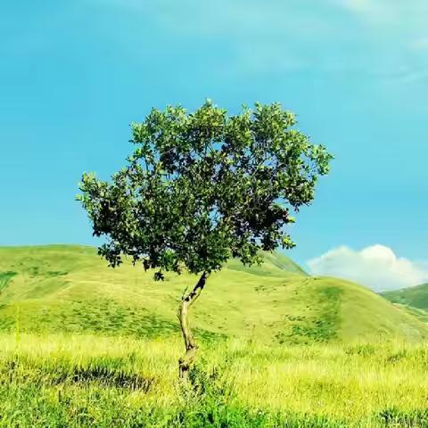 Silicone Cover Case For JBL Xtreme 4 Speaker Travel Carrying Storage Bag For JBL Xtreme 4/3 Speaker 