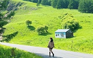 Dreamy Arshan 7-Day Private Journey (Harbin to Hailar)