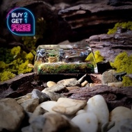 Starwar 2u, Back key, Starwar 2u back key, Starwar artisan, star wars keycap