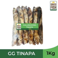 DFP Galunggong Tinapa/Smoked Fish 1kg