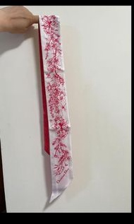 Dior Scarf Twilly