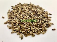 金瑞成鳥園->奶薊籽/屬於草本植物/適合各種鸚鵡