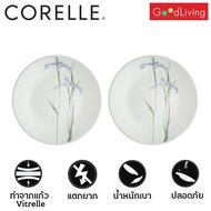 Corelle Shadow Iris จานอาหาร จานแก้ว ขนาด 10 นิ้ว (25.5 cm.) จำนวน 2 ชิ้น [C-03-110-333-2]