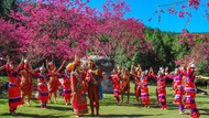 【2024櫻花祭】南投九族文化村門票|贈日月潭來回纜車|快速入園免換票