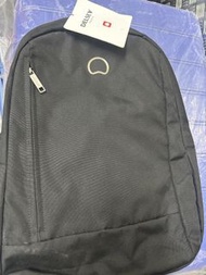 Delsey 旅行背包可套行李箱 Delsey backpack 可套篋