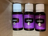 Young Living 精油 薰衣草 lavender