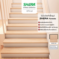 SHERA ไม้บันไดเฌอร่า รุ่นฟอเรสต้า  2.5x25x120 ซม. (2ชิ้น/แพ็ค)