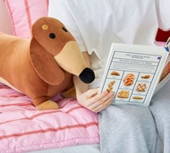 【 韓國代購 🦕 Joguman Studio 新產品 🔥 最快5日到貨! 】韓國 Joguman Studio 臘腸狗 Woody Cushion 抱枕