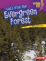Let's Visit the Evergreen Forest Buffy Silverman