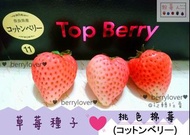 ❤️粉莓人🖤日本草莓種子10顆 白草莓 桃色棉莓 棉花糖草莓
