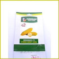 ♧ ◄ ◵ Condor Bravado F1 Hybrid Sweet Corn Seeds