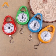 ZN Mini Pointers Digital Hanging Hook Spring Scale Portable Travel Luggage Weighing Scale Fishing Sc