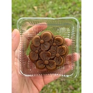 壹家娘惹伍仁 Yi Jia Nyonya Mixed Nut mooncake