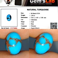 Turquoisenatural Turquoise Not Persian Blue Fancy Gold Vein 2.9ct GLI Tgas Vein